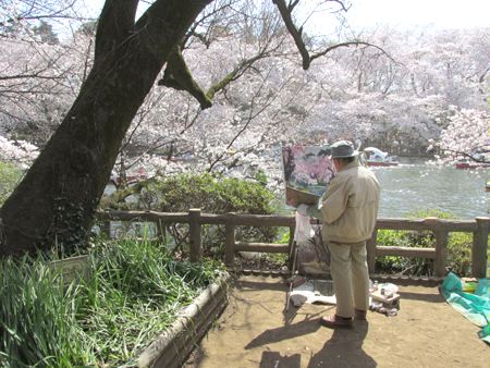 井の頭公園の桜を描く絵描きさん